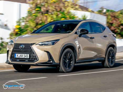 Der neue Lexus NX Overtrail - Frontansicht