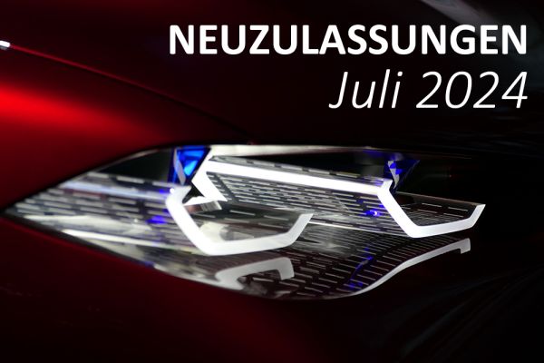 Neuzulassungen im Juli 2024 - solides Niveau.